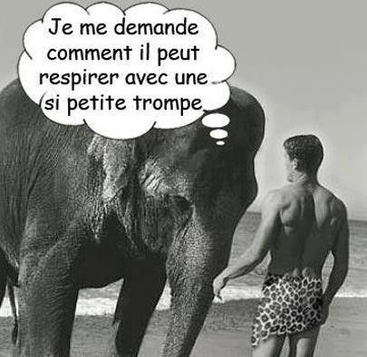 Un peu d'Humour !