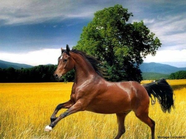 Splendeur de la nature !